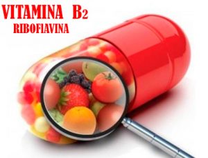 Vitamina-b2-riboflavina beneficios y propiedades.