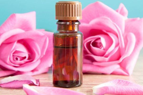 Beneficios del aceite de rosa mosqueta