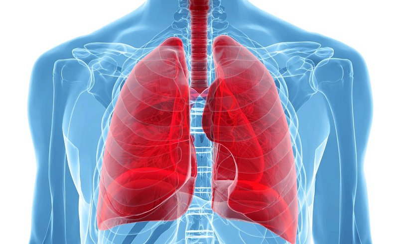 Salud pulmonar alimentos beneficiosos