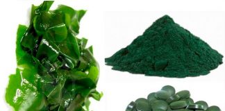 espirulina