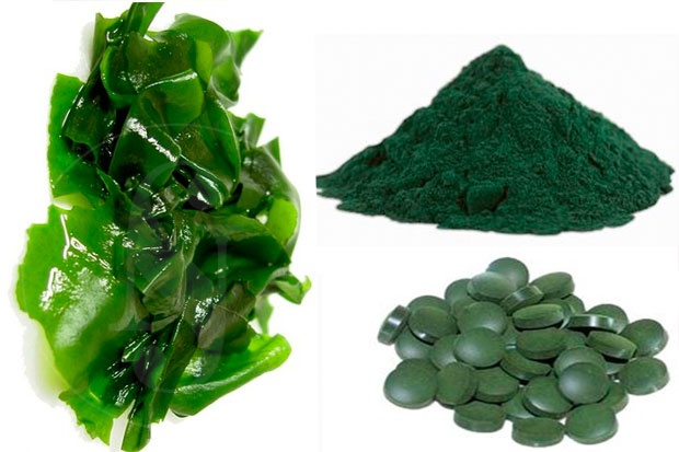 espirulina