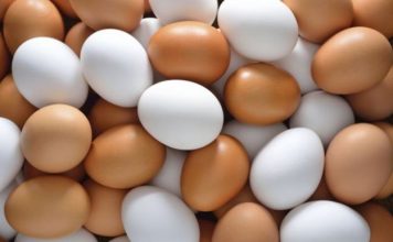 huevos