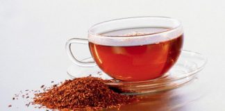 rooibos