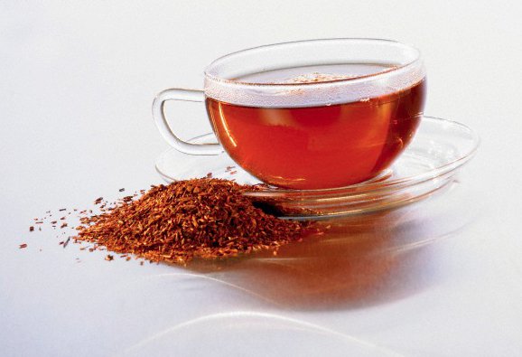 rooibos