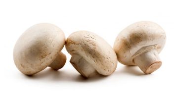 champiñones propiedades