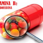 Vitamina-b2-riboflavina