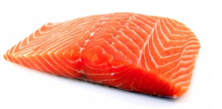 salmon