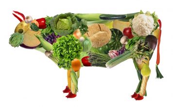 proteina vegana