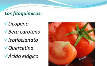 Fitoquimicos