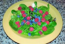 Ensalada de frambuesas y arandanos