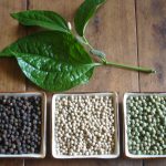 Pimienta negra beneficios