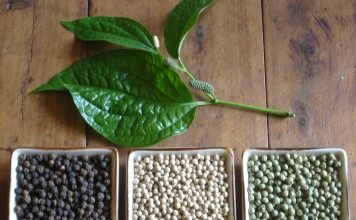 Pimienta negra beneficios