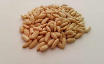 Propiedades de los piñones