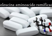 Isoleucina aminoacido ramificado propiedades