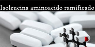 Isoleucina aminoacido ramificado propiedades