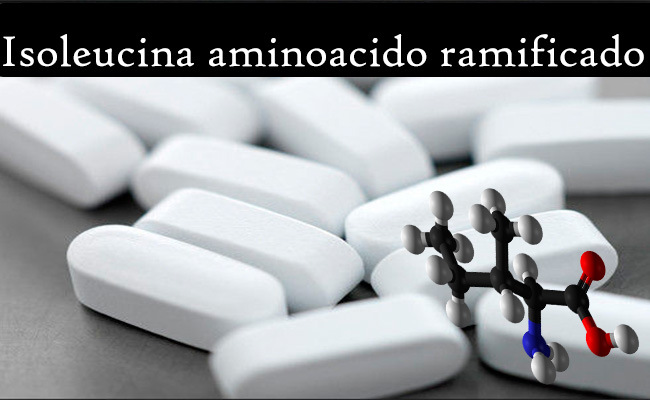 Isoleucina aminoacido ramificado propiedades