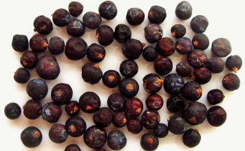 bayas de enebro