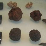 rp_comprar-trufas-negras