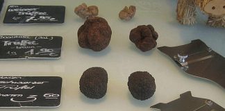 rp_comprar-trufas-negras