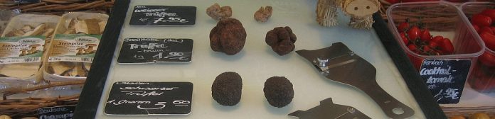 rp_comprar-trufas-negras