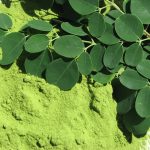 moringa beneficios