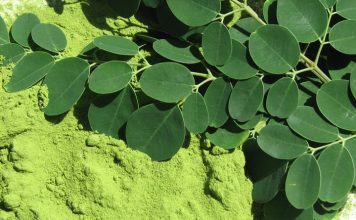 moringa beneficios