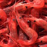 Chitosan beneficios para la perdida de peso