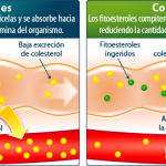 fitoesteroles