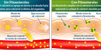 fitoesteroles