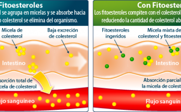 fitoesteroles