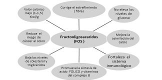 fructooligosacaridos propiedades