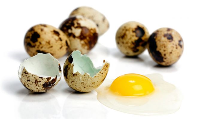 Beneficios de los huevos de codorniz