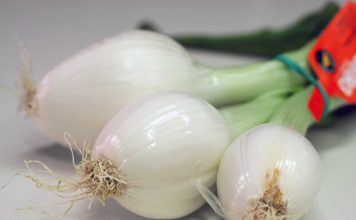 Cebollas tiernas