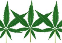 marihuana