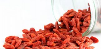 Bayas de goji para perder peso