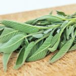 Salvia efecto reductor del colesterol