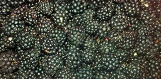 moras-fuete-de-vitaminas-y-antioxidantes