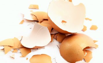 cascara-de-huevo-fuente-de-calcio