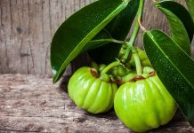 garcinia-cambogia