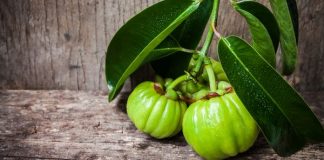 garcinia-cambogia