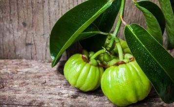 garcinia-cambogia