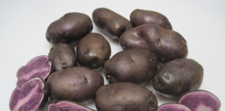 patatas-moradas