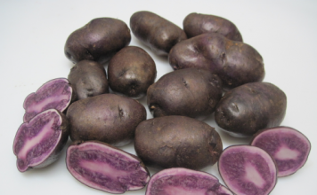 patatas-moradas
