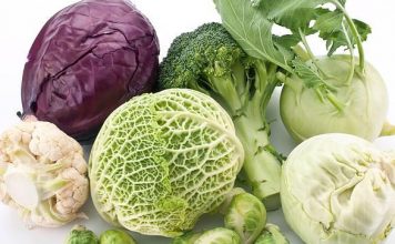 verduras-de-otono
