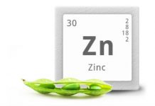 zinc-propiedades-para-el-sistma-inmune