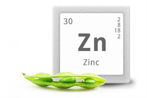 zinc-propiedades-para-el-sistma-inmune