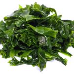 alga-kelp-superalimento