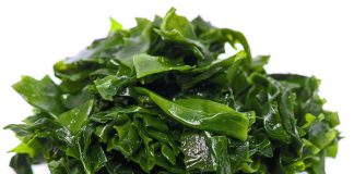 alga-kelp-superalimento