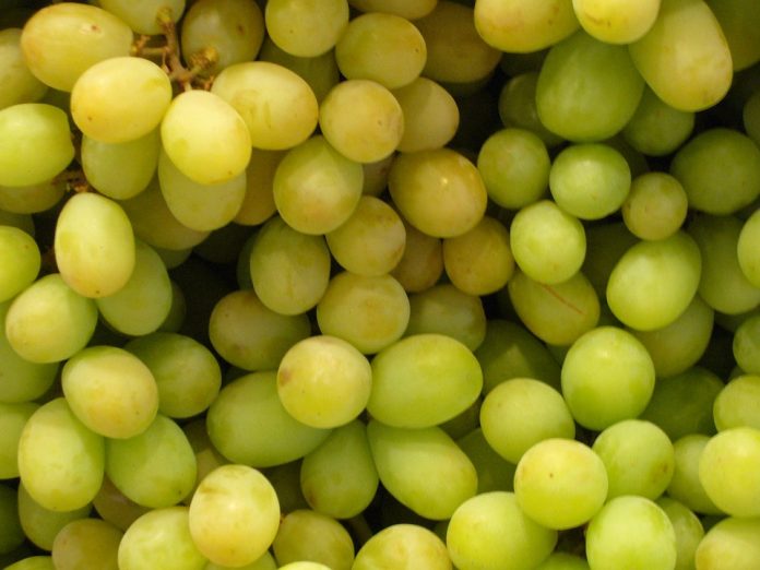 las-uvas-son-beneficiosas-para-la-salud
