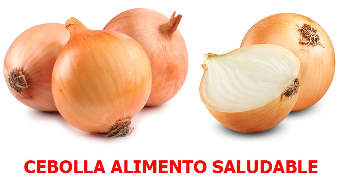 cebollas calorias